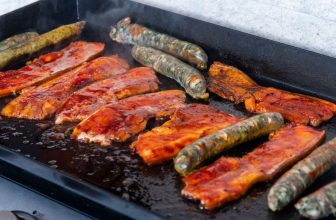 Les 8 Meilleures Plancha à Gaz en 2025